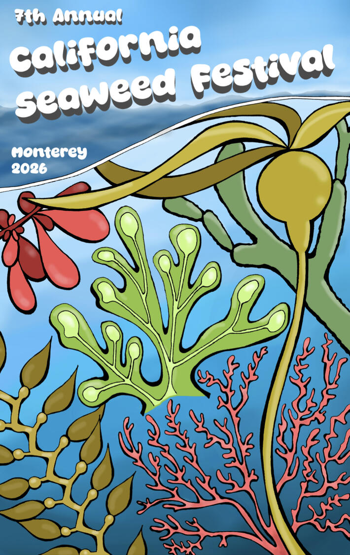 California Seaweed Festival Poster Entry, pen & digital, 2026. Six seaweed species found along the California Coast (rockweed, sea grapes, bullwhip kelp, Pike's weed, velvet horn, and giant kelp) illustrated.
