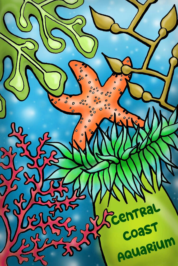 Central Coast Aquarium Magnet Entry, pen & digital, 2026. Three seaweed species (Pike's weed, giant kelp, and rockweed), a giant green anemone, and an ochre sea star depicted.